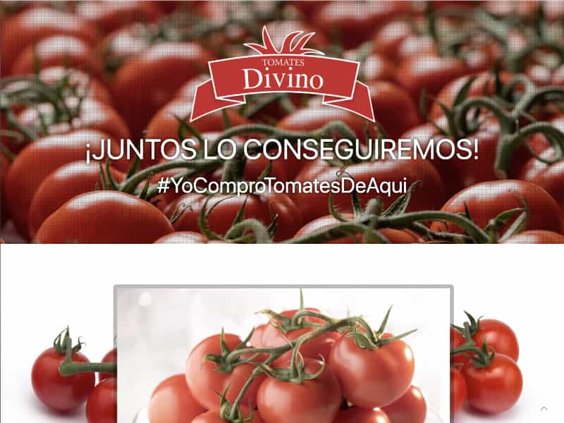 Tomates Divino